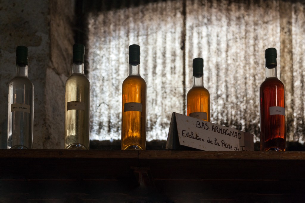 Au départ l'Armagnac est blanc. Il va se colorer peu à peu...