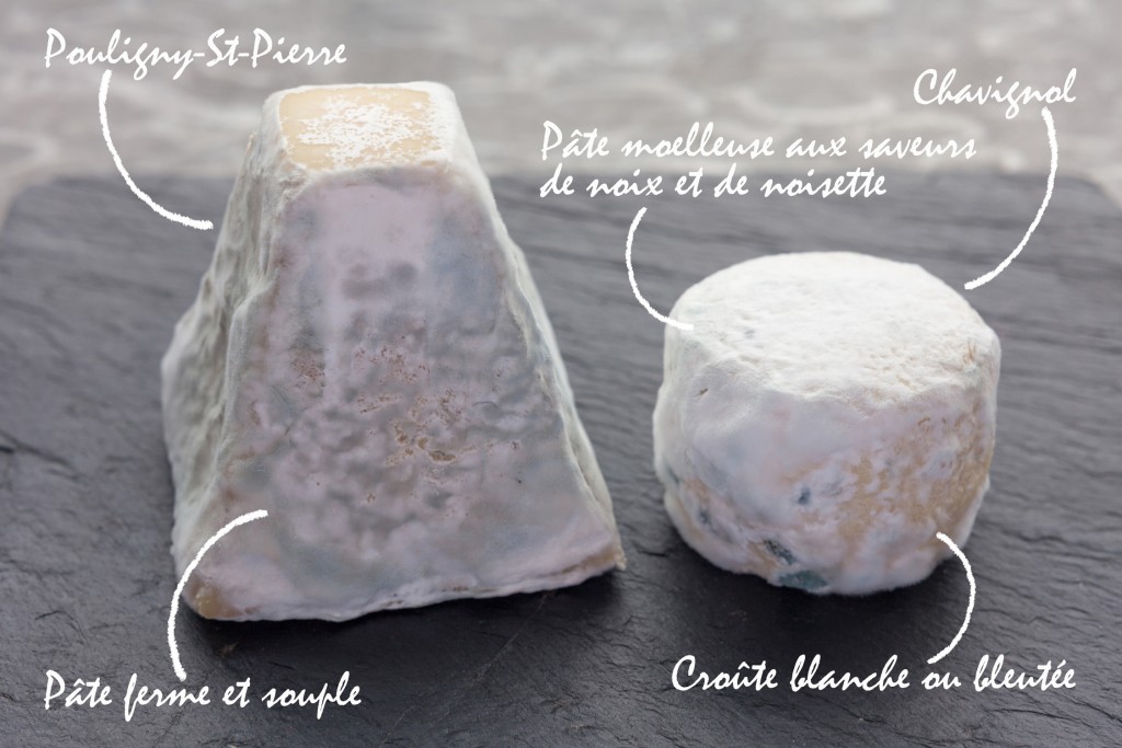 fromages-de-chevre-région-centre-val-de-loire-copyright-maeva-destombes-2990-2