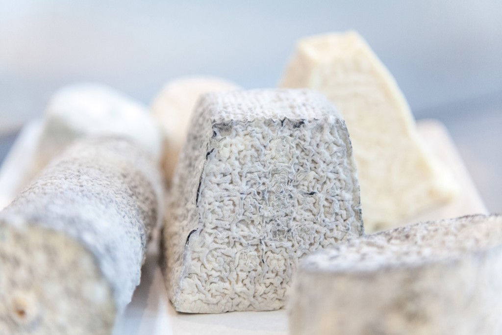 fromages-de-chevre-région-centre-val-de-loire-copyright-maeva-destombes-8338