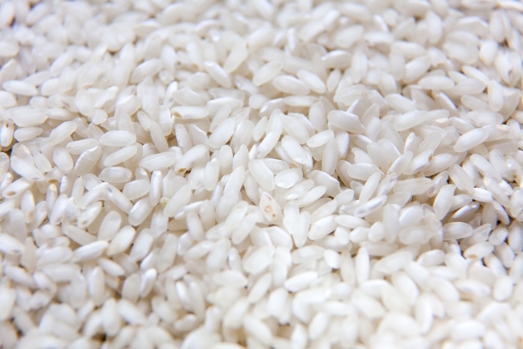riz-po-piemont-riziere-cereale-italie-rice-copyright-maeva-destombes_MG_7054