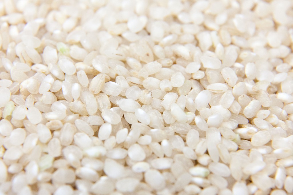 riz-riso-gallo-po-piemont-riziere-cereale-robbio-italie-rice-copyright-maeva-destombes_MG_7094