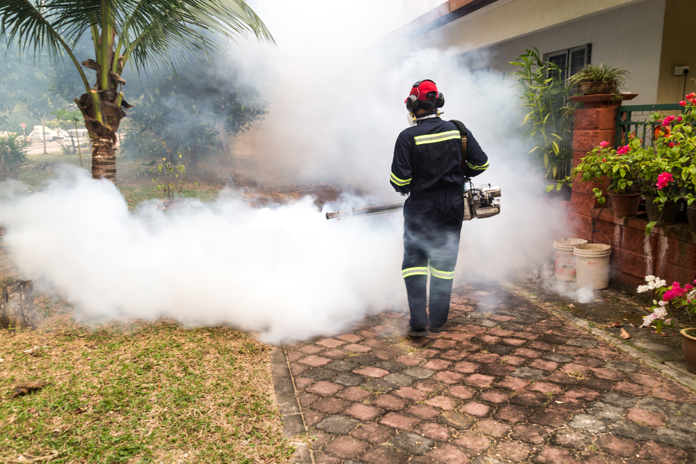 dengue-maladie-epidemique-polynesie-francaise-shutterstock_313250756-© ThamKC