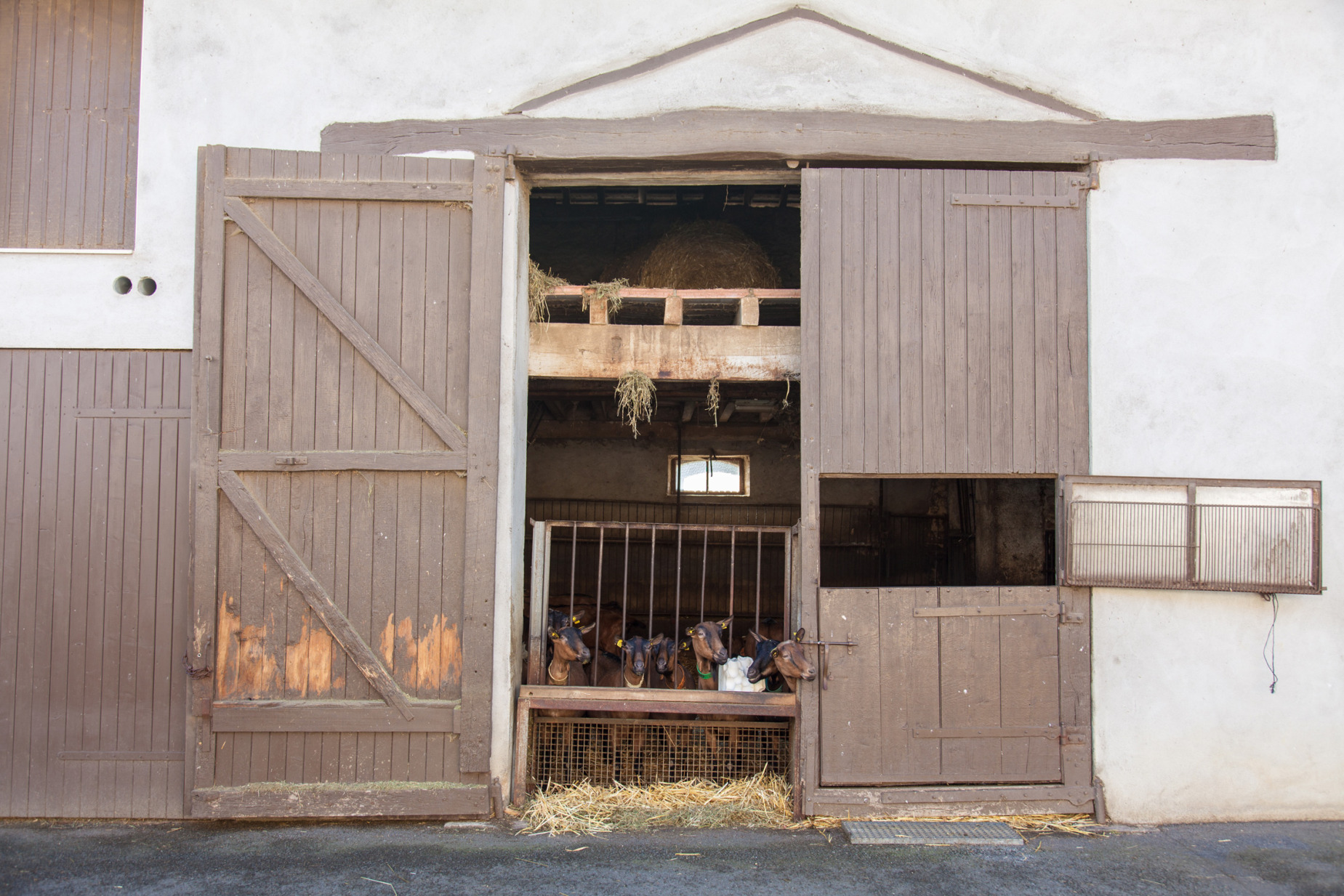 crottin-chavignol-sancerre-copyright-maeva-destombes_MG_7847