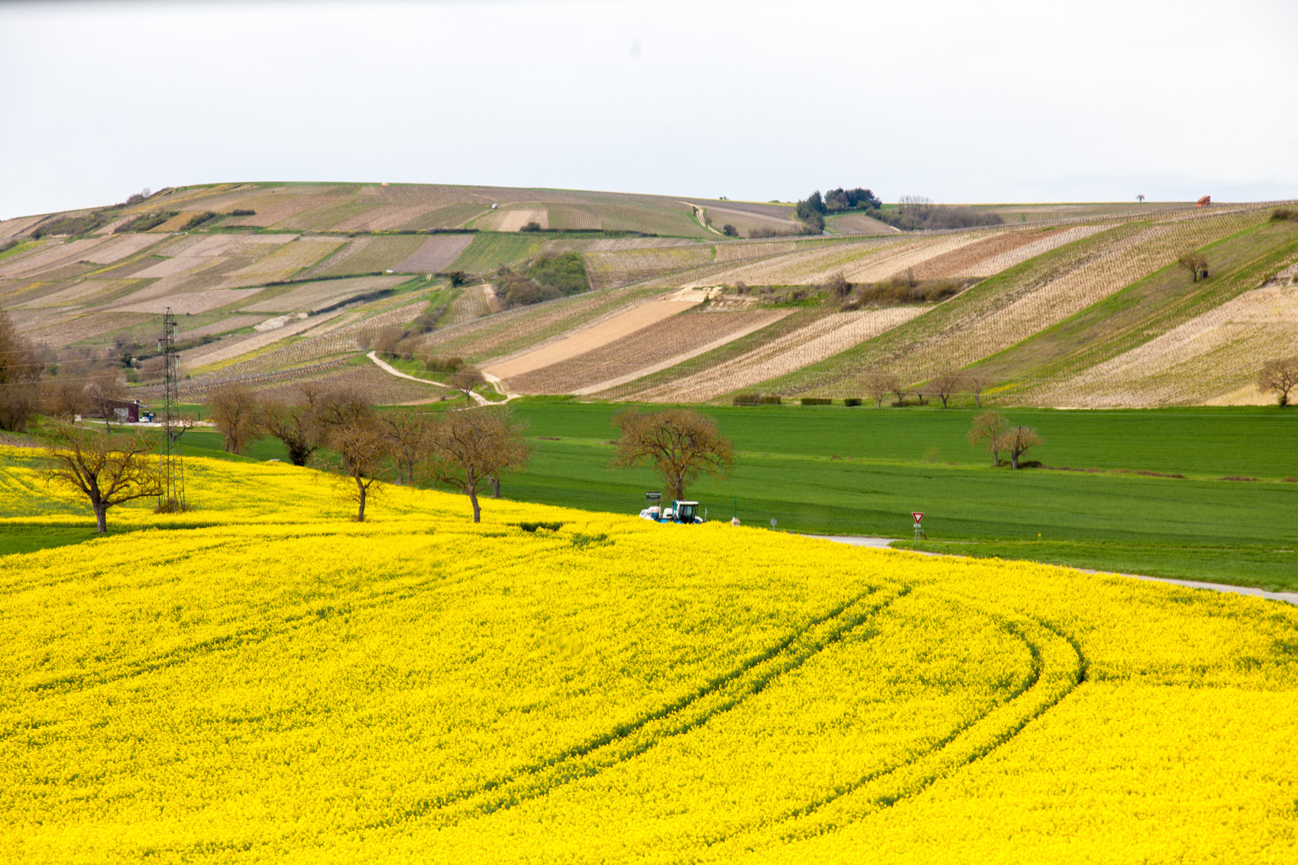 crottin-chavignol-sancerre-copyright-maeva-destombes_MG_7985