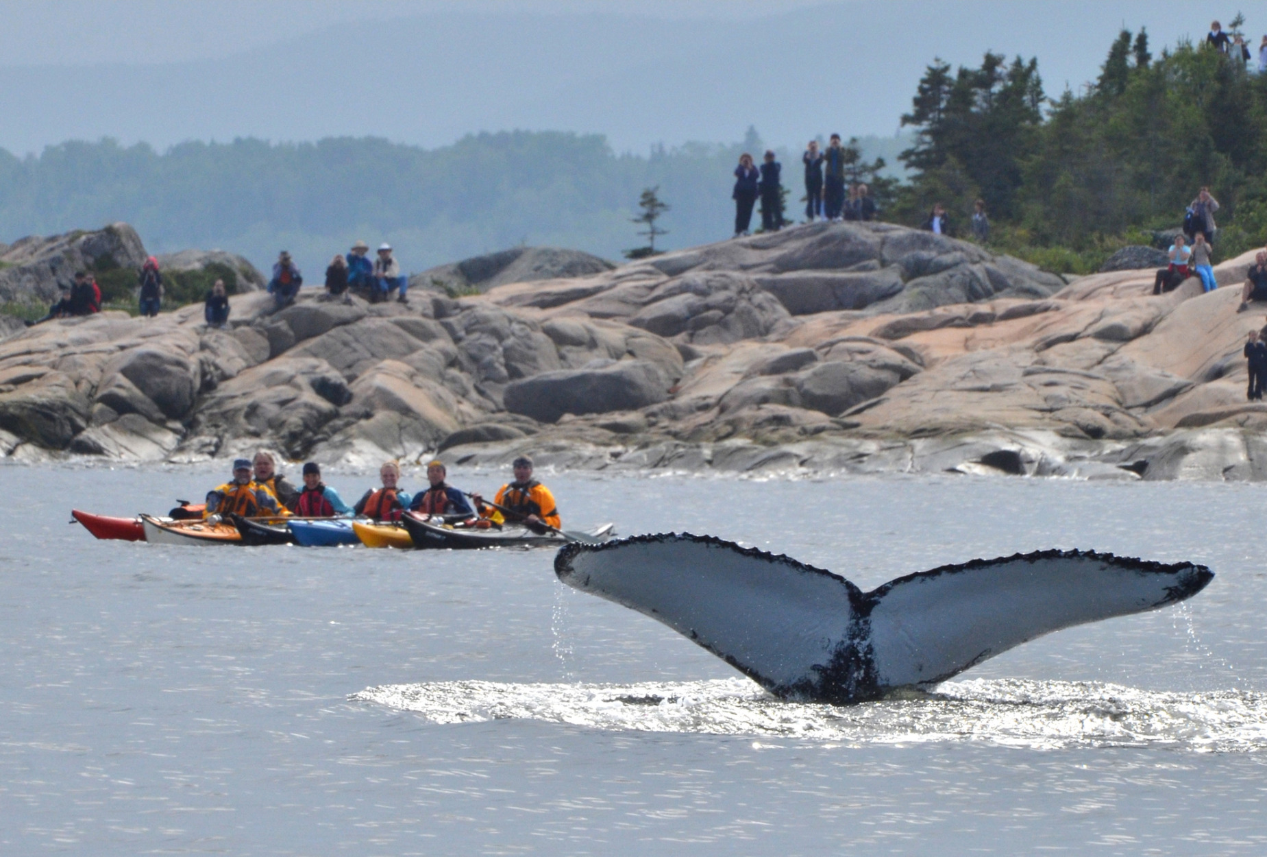 delices-mag-quebec-maritime-Qm-0633