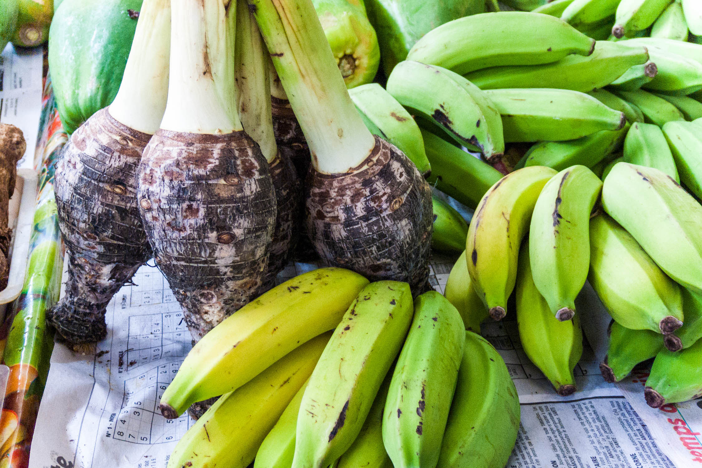 Les bananes : un régal sucré ou salé – Destination Pacifique