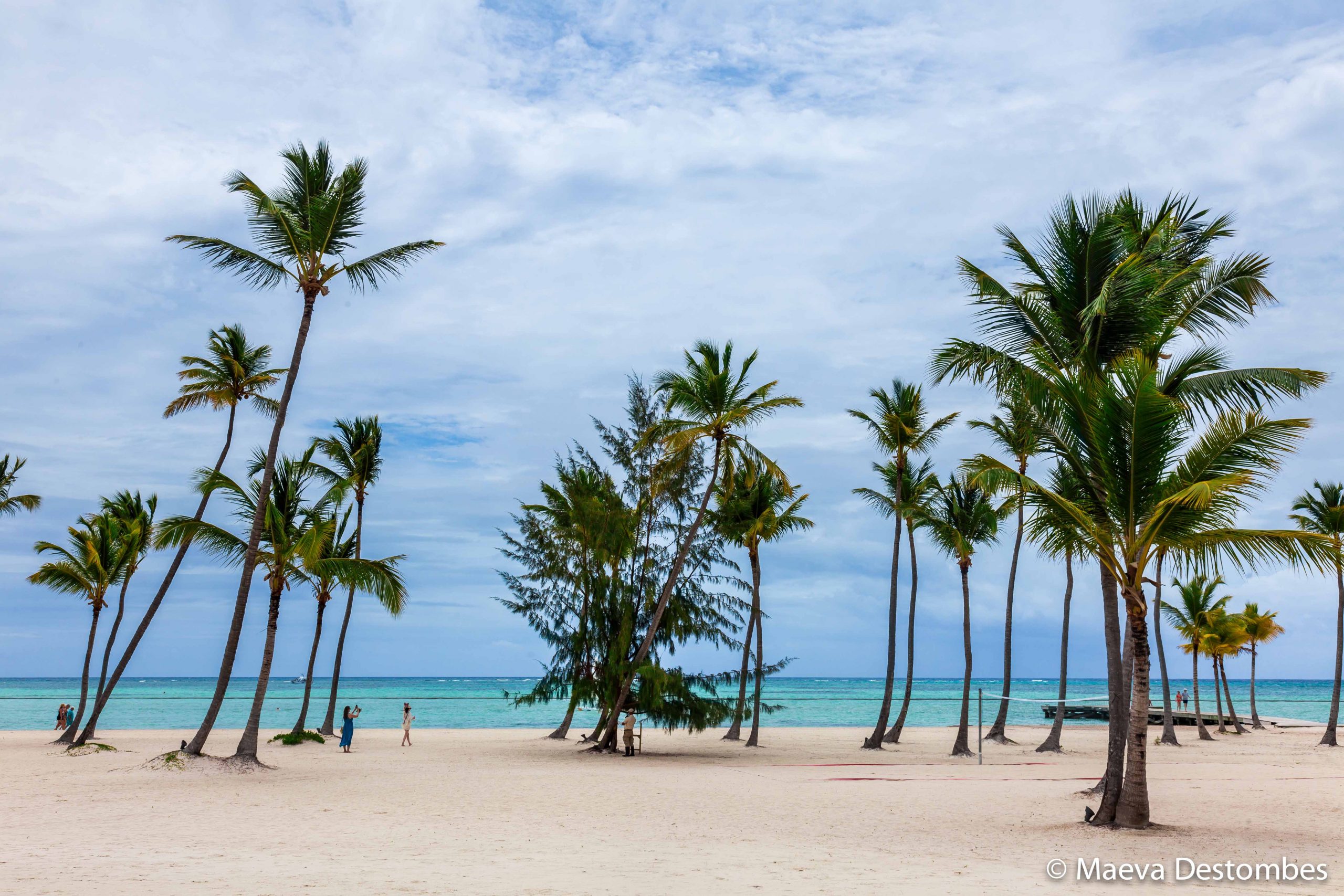 Une plage de sable blanc et de cocotiers à Cap Cana en République Dominicaine 
