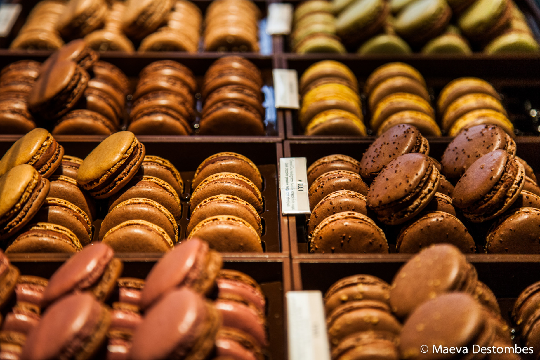 Des macarons au chocolat bien rangés et alignés.