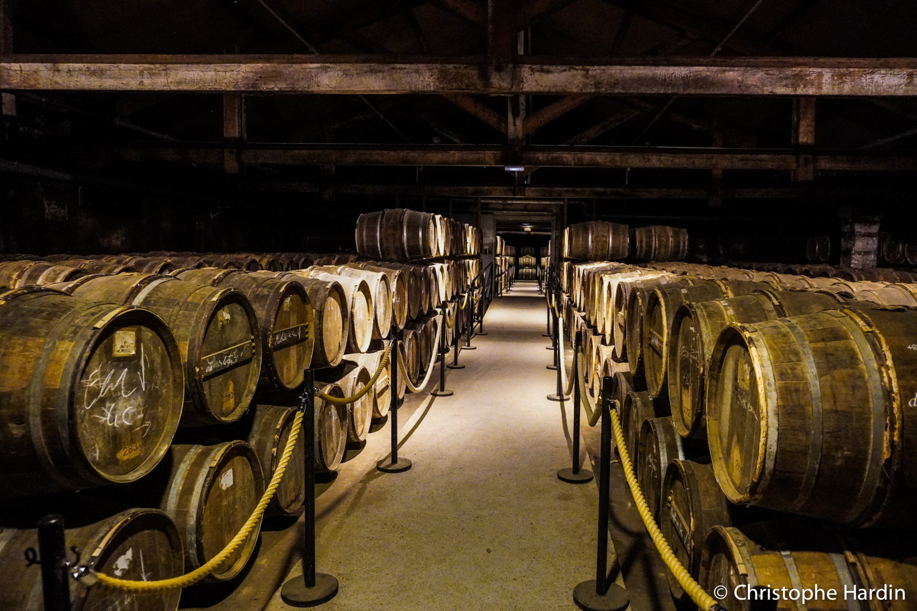 The Maison Hennessy cellar with its hundreds of barrels in Cognac, Charente, France, October 15, 2024.<br />Le chais avec ses centaines de barriques de la Maison Hennessy à Cognac, Charente, France, le 15 octobre 2024.