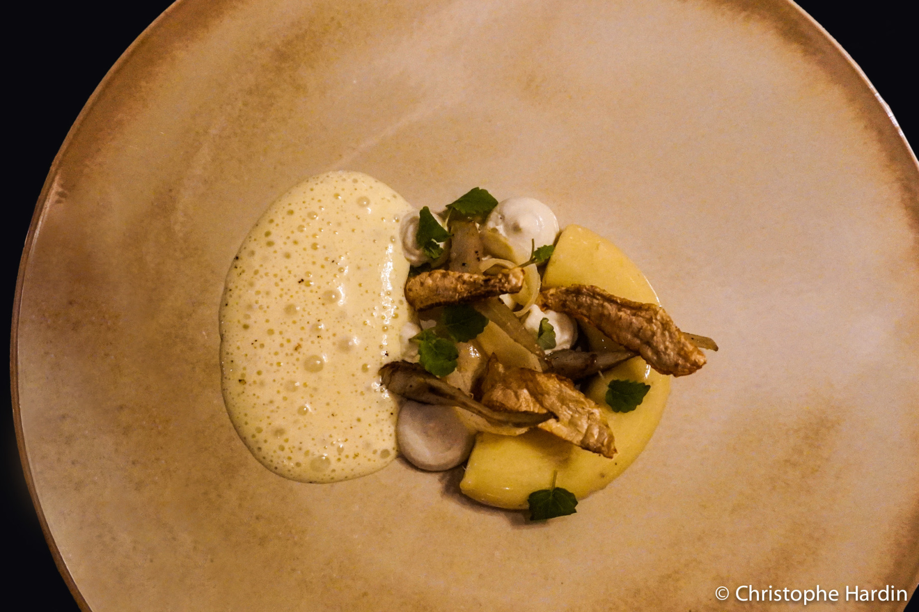 Artichokes at Les Foudres restaurant in the Hôtel Chais Monnet & Spa in Cognac, Charente, France, October 15, 2024.<br />Belle déclinaison de l'artichaut au restaurant Les Foudres de l'Hôtel Chais Monnet & Spa à Cognac, Charente, France, le 15 octobre 2024.