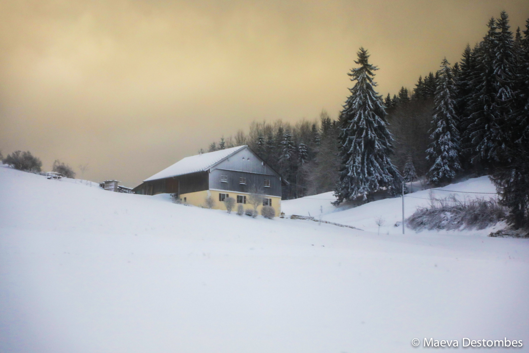 Snow-covered landscape with a view of a mountain chalet and fir trees at Passy Plaine-Joux in Haute-Savoie in France on December 20 of 2024. Paysage enneige avec vue sur un chalet de montagne et des sapins a Passy Plaine-Joux dans la Haute-Savoie en France le 20 decembre 2024.