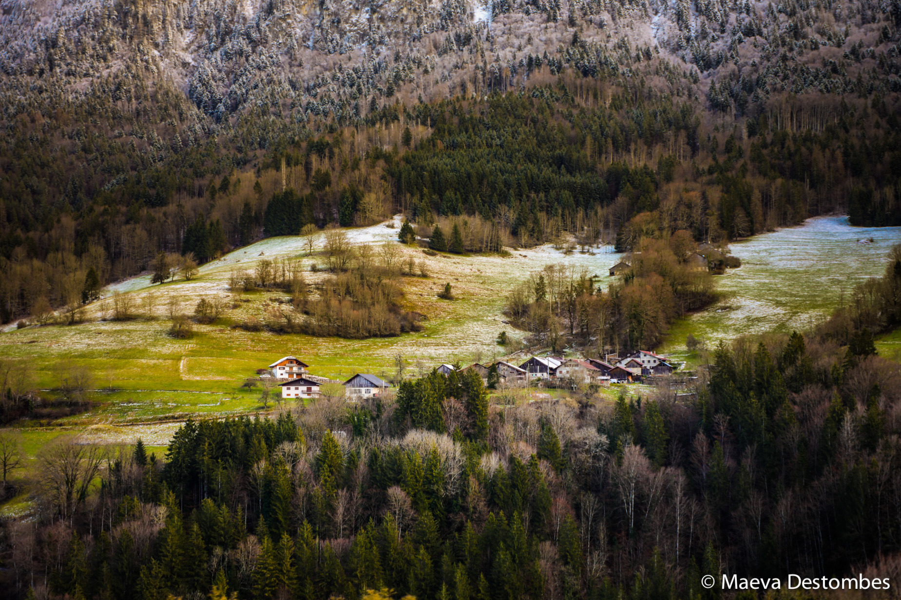 Snow-covered mountain landscape with views of chalets and fir trees near Chatel resort-village des doors of sun in Haute-Savoie in France on December 20 of 2024. Paysage enneige de montagne avec vue sur des chalets et des sapins vers Chatel station-village des portes du soleil dans la Haute-Savoie en France le 20 decembre 2024.