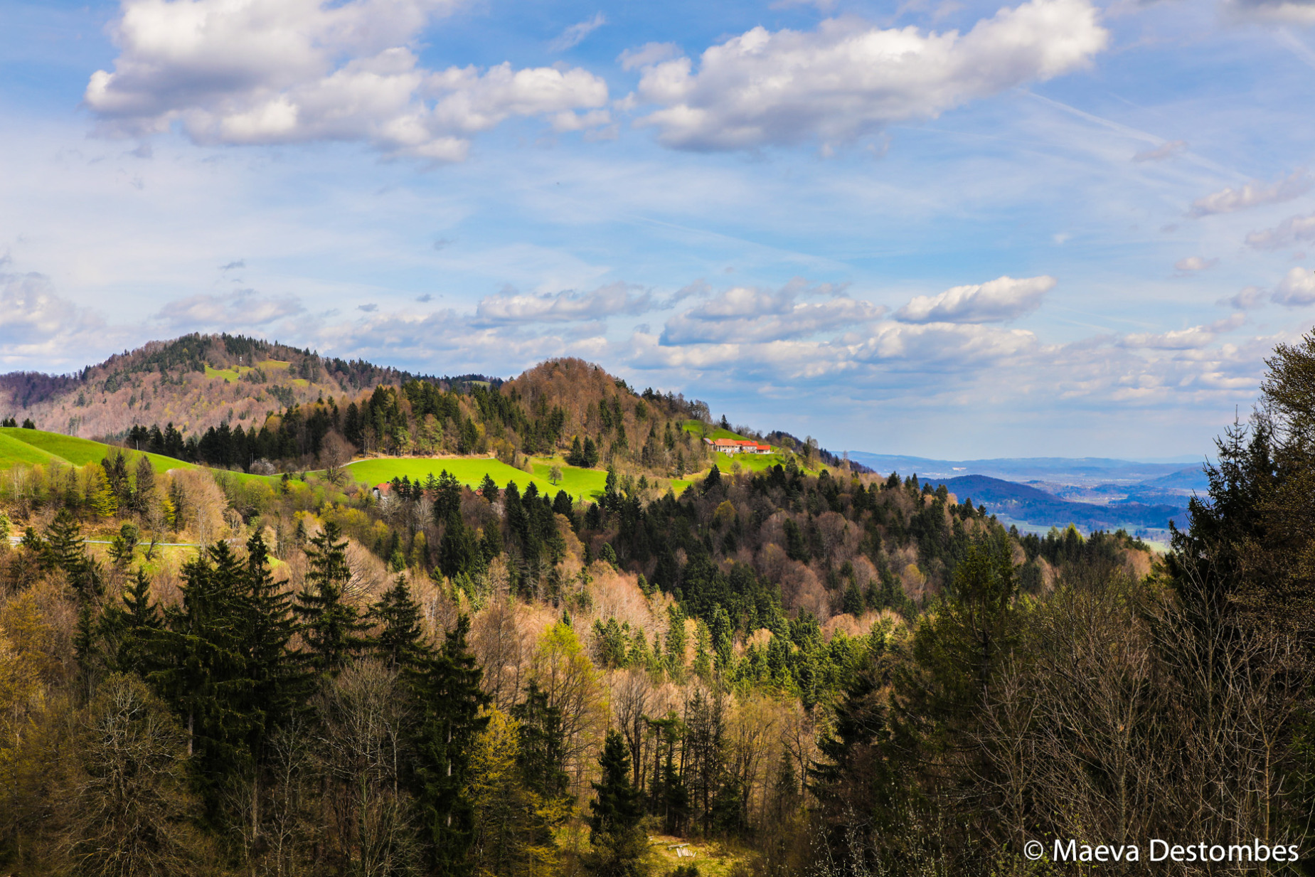En Slovénie, la nature s’exprime dans toute sa diversité.